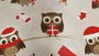 Owly Xmas In den beer_